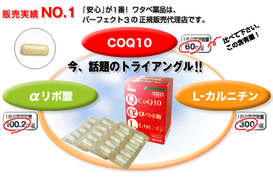 健康食品 COQ10 αリポ酸 L-カルニチン